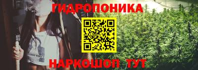 гидропоника Партизанск