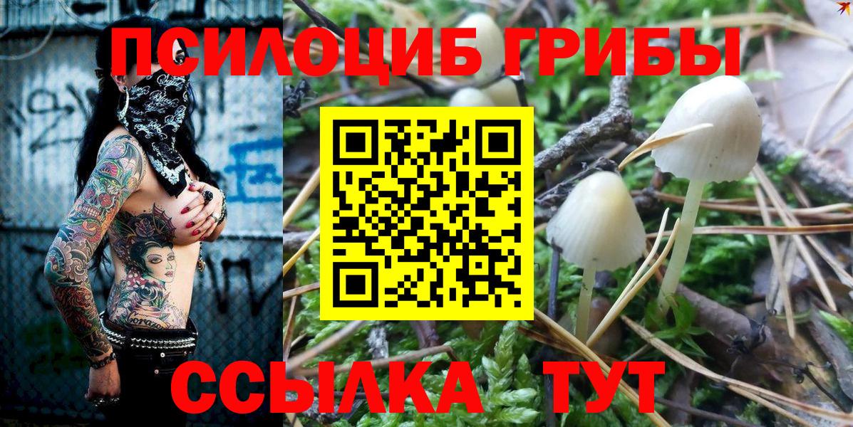 Псилоцибиновые грибы MAGIC MUSHROOMS Отрадное